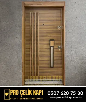 Gaziosmanpaşa Çelik Kapı - Pro 8
